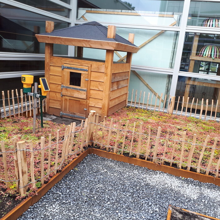 SimplySedum Sedummatten per M2 | Zelf samenstellen