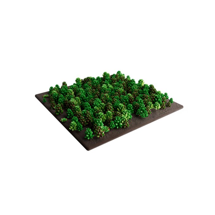 SimplySedum Sedummat | ZELF SAMENSTELLEN (configurator)