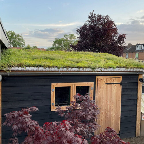 Groen dak op je schuur