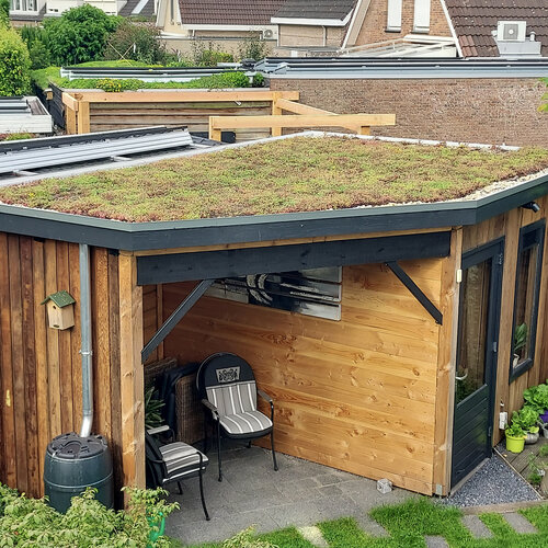 Lichtgewicht groendak