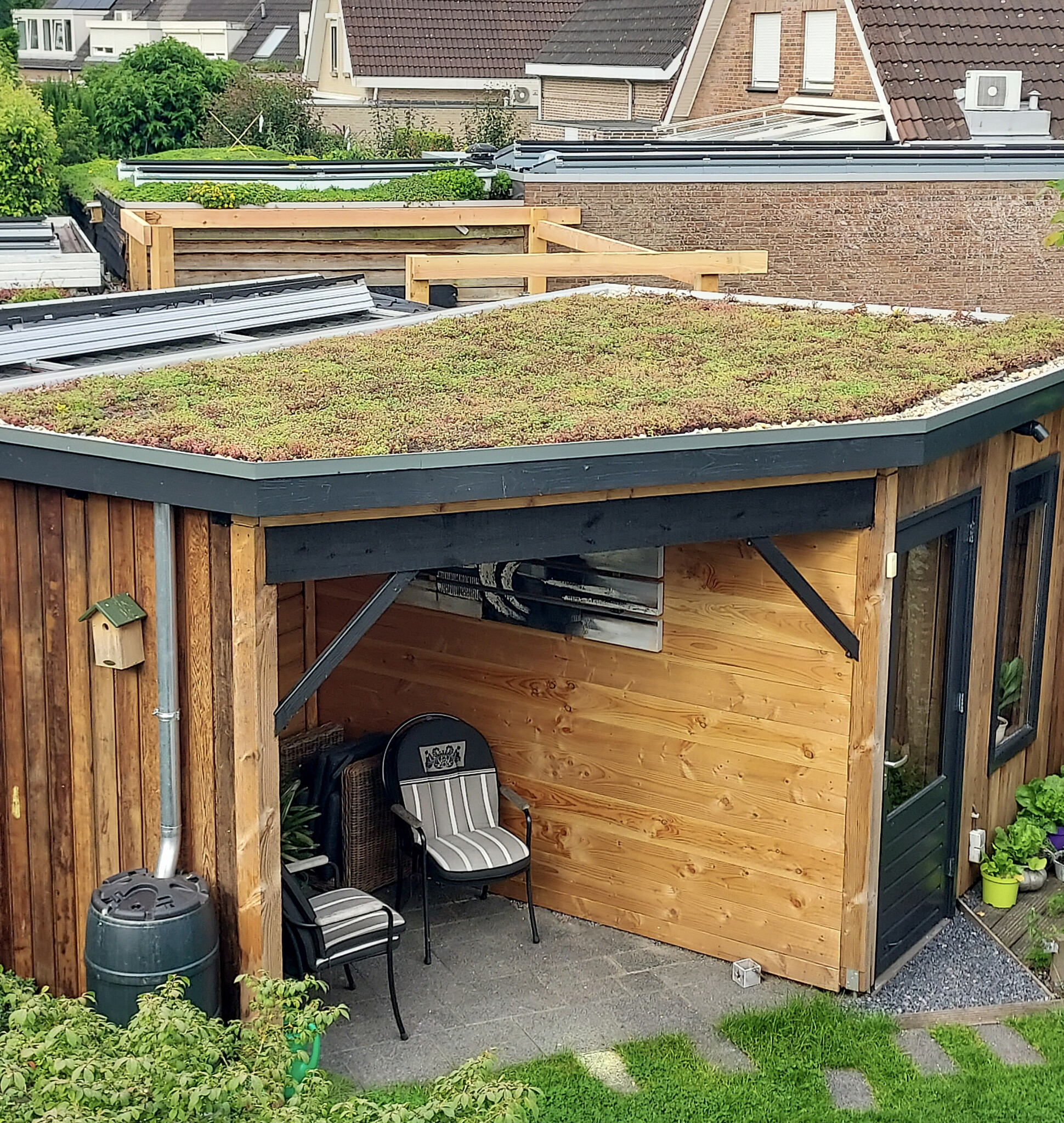 Lichtgewicht groendak