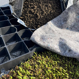 SimplySedum Hellend Groendak 31° tot 45° Per m2