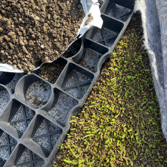 SimplySedum Hellend Groendak 31° tot 45° Per m2