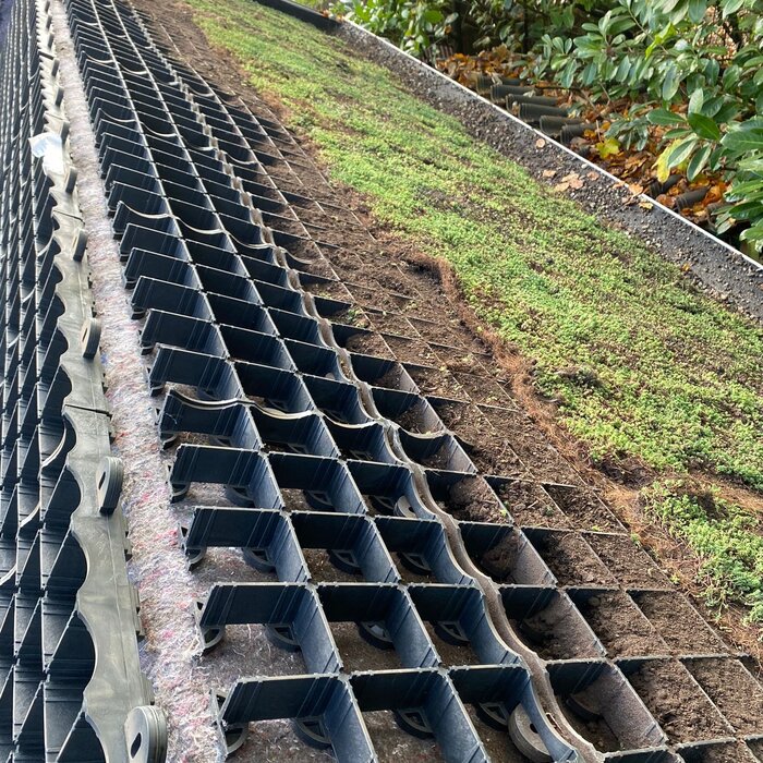 SimplySedum Hellend Groendak 31° tot 45° Per m2