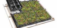 SimplySedum Groene dakpan per m2