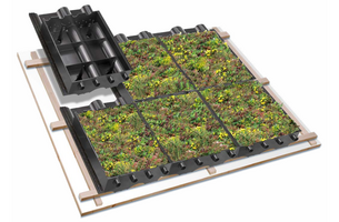 SimplySedum Groene dakpan per m2