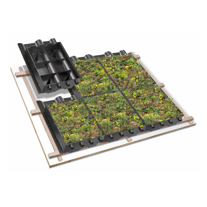 SimplySedum Groene dakpan per stuk