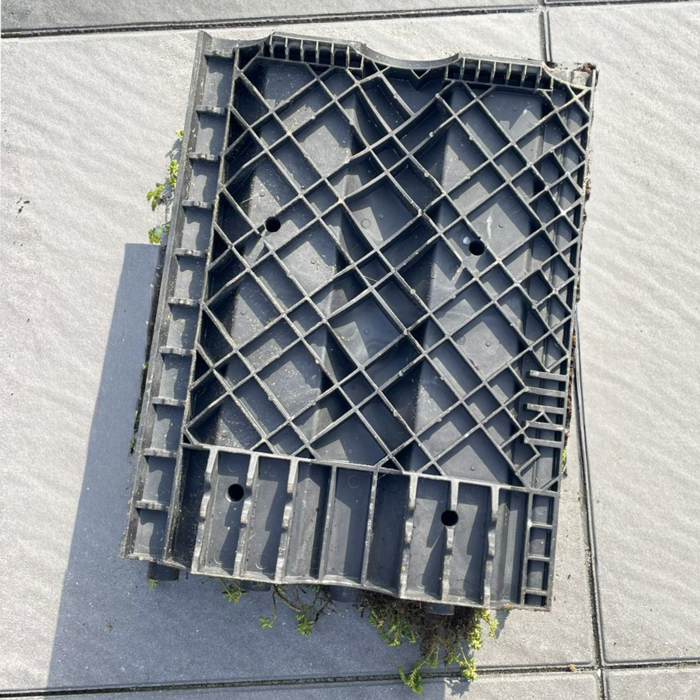 SimplySedum Groene dakpan per stuk