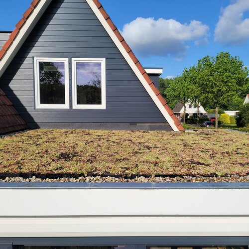 Geluidsoverlast verminderen met sedum