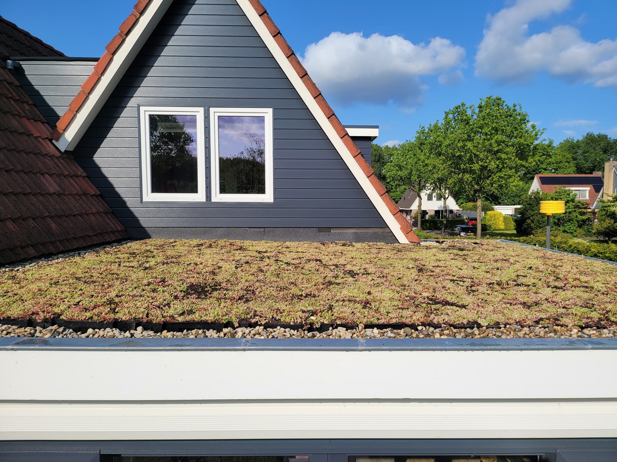 Geluidsoverlast verminderen met sedum