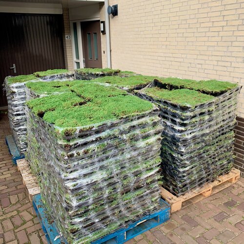 Wat zijn de kosten voor sedumdak per m2?