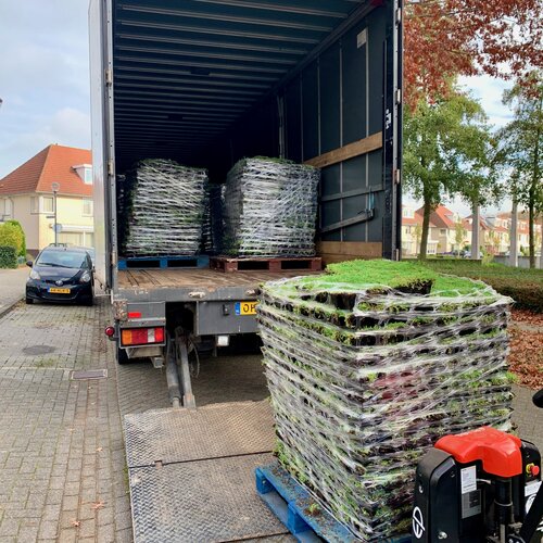 Wat is het verschil tussen sedum cassettes en sedum matten?