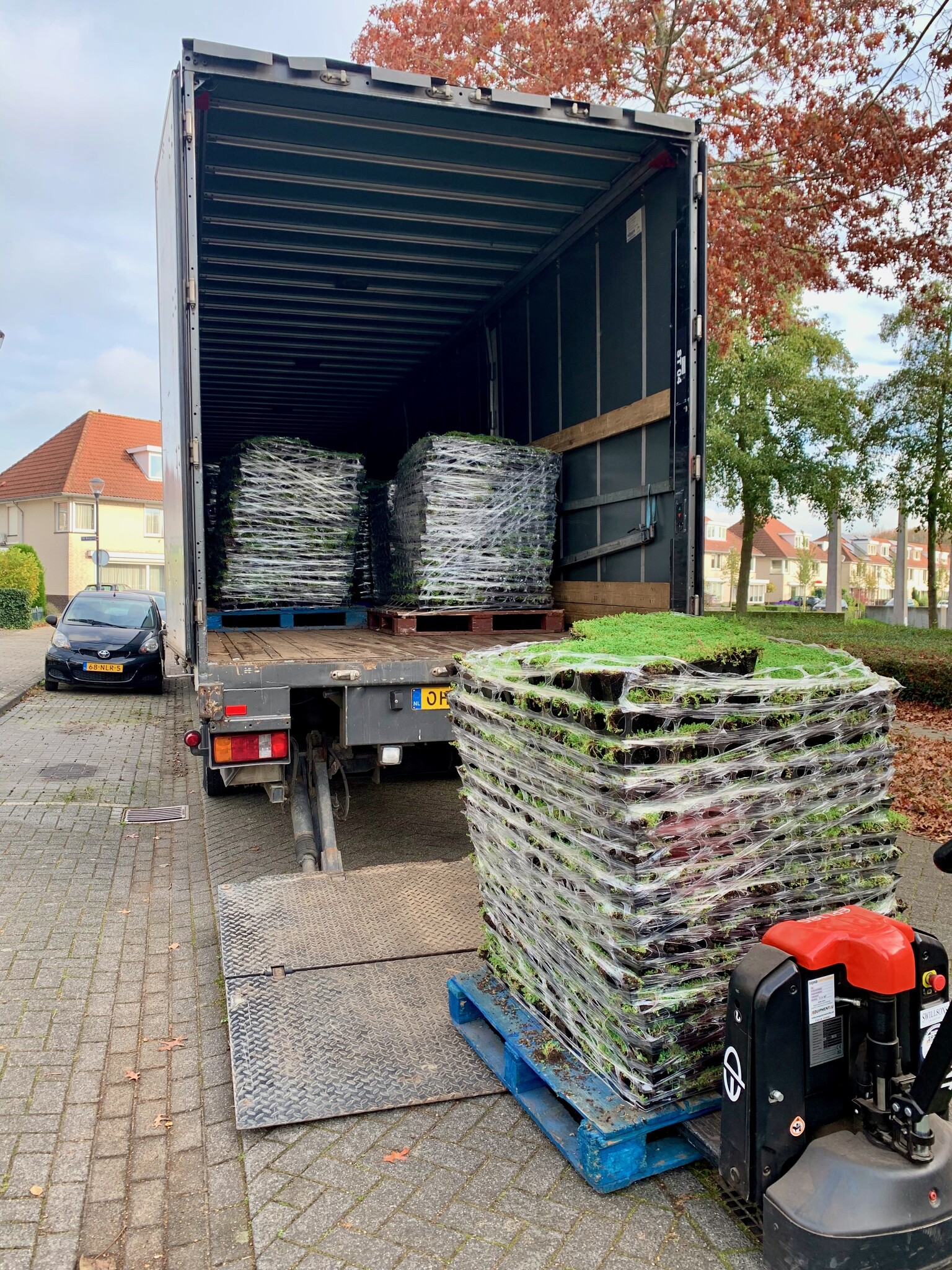 Wat is het verschil tussen sedum cassettes en sedum matten?