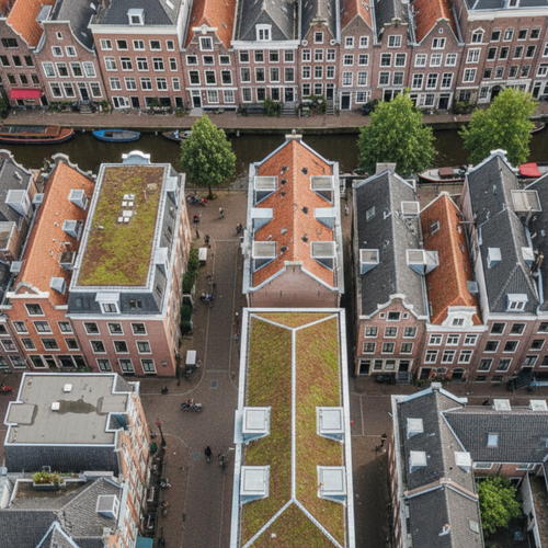 Hoe kunnen sedumdaken de stedelijke biodiversiteit verbeteren?