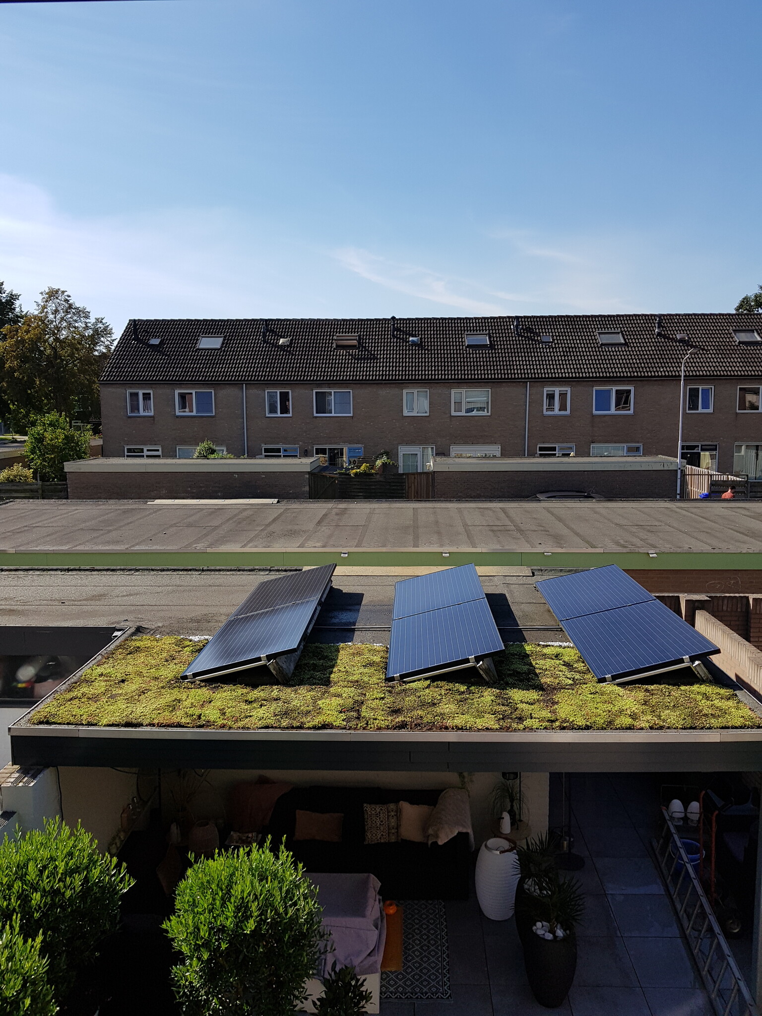 Kunnen zonnepanelen op een groendak?