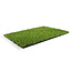 Royal Grass® XPlay 24