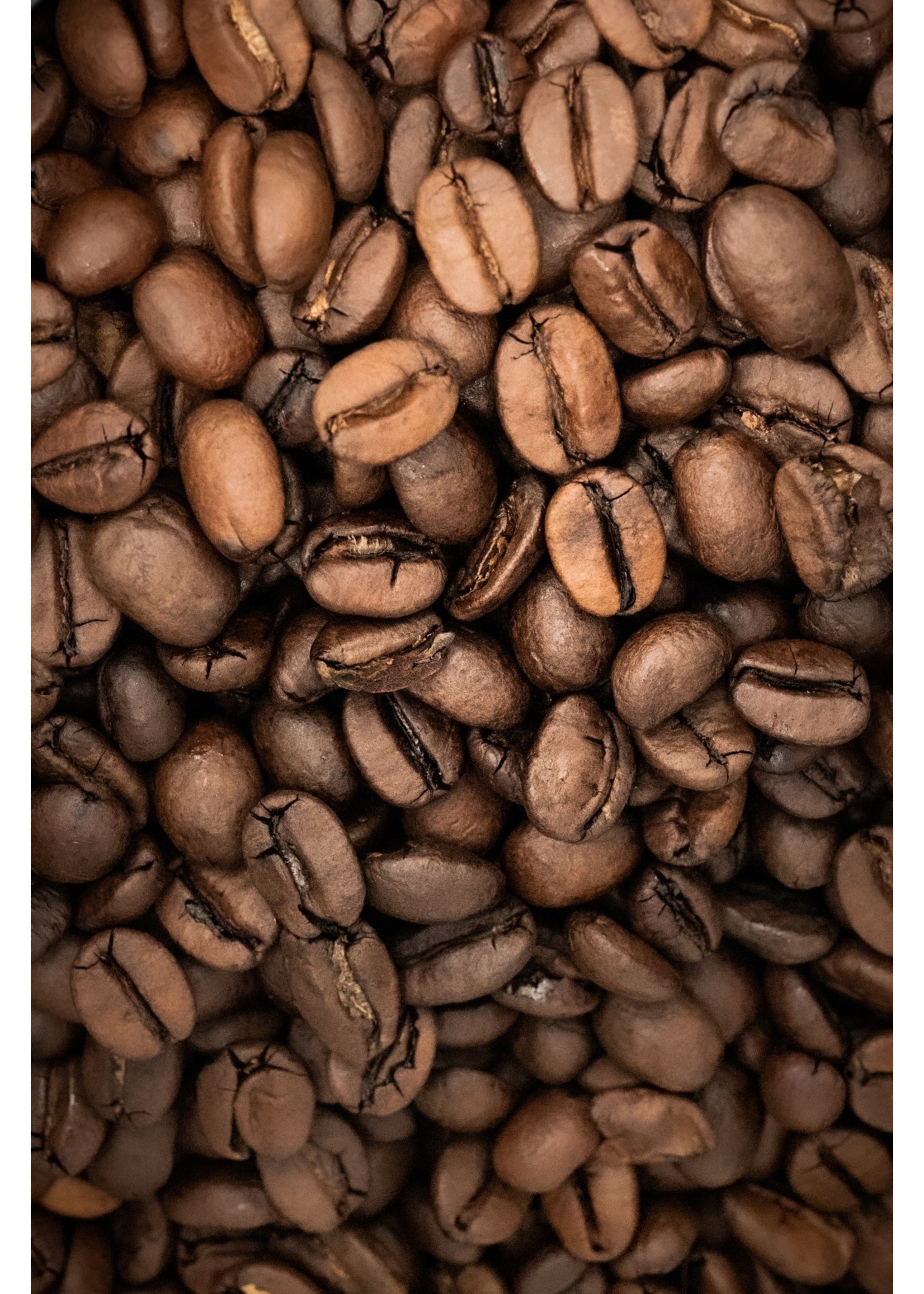 De KoffieMeulen Espresso Organico (FTO) fair trade