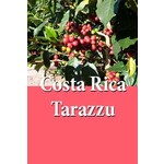 De KoffieMeulen Costa Rica Tarazzu