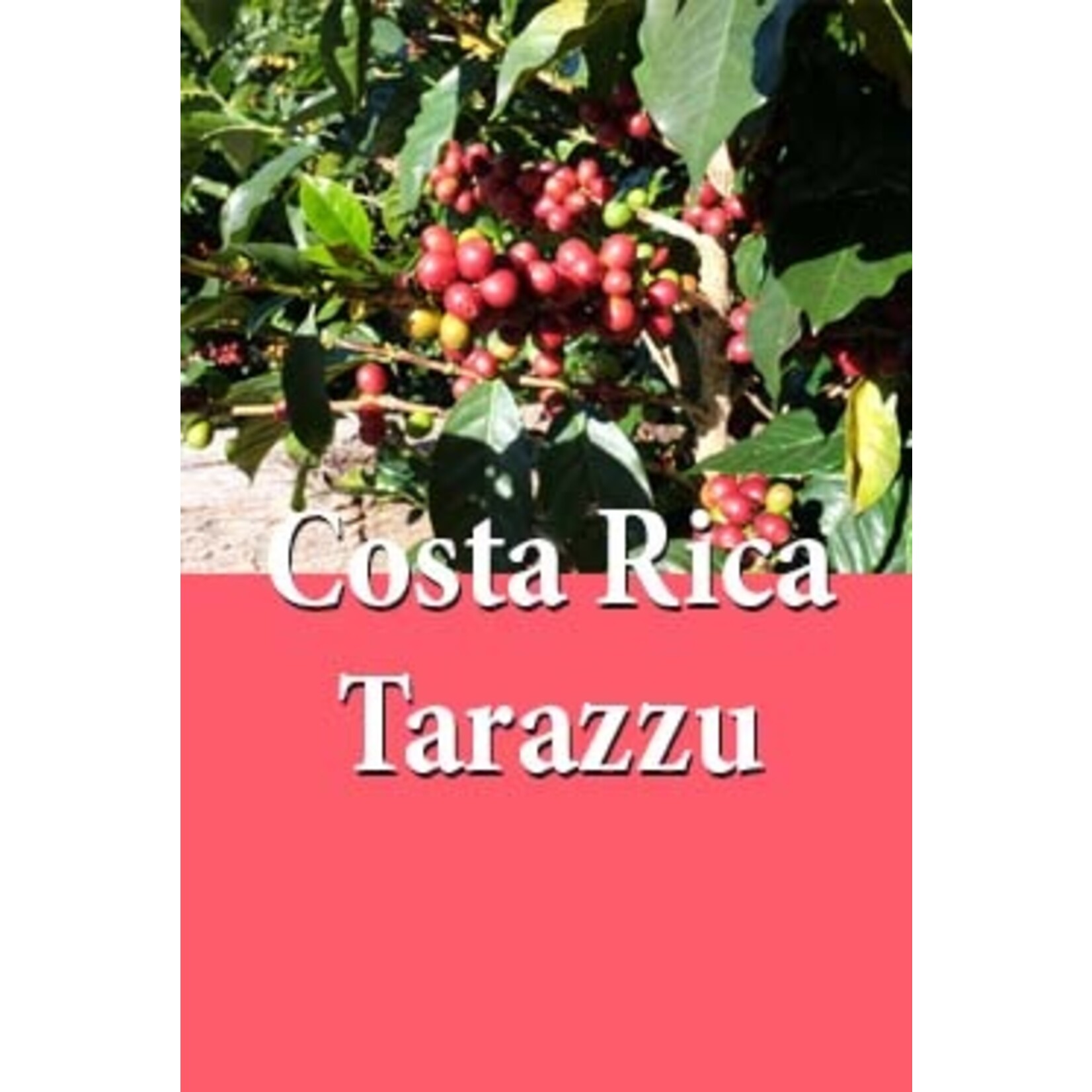 De KoffieMeulen Costa Rica Tarazzu Libertad