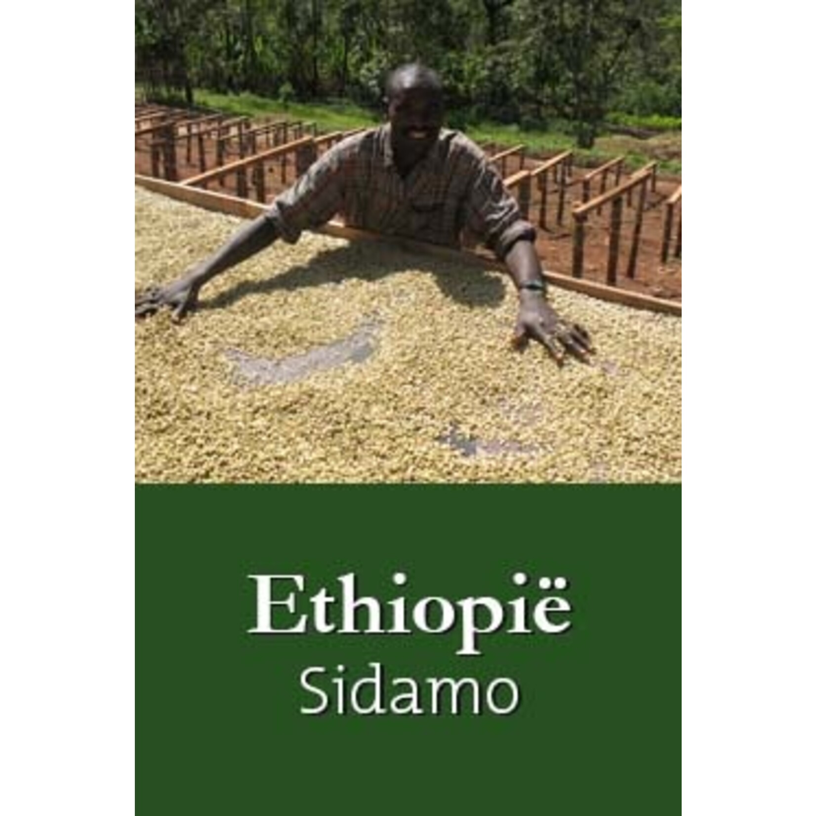 De KoffieMeulen Ethiopië Sidamo