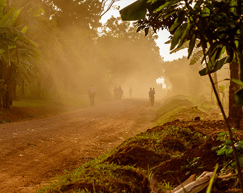 Robusta: de details