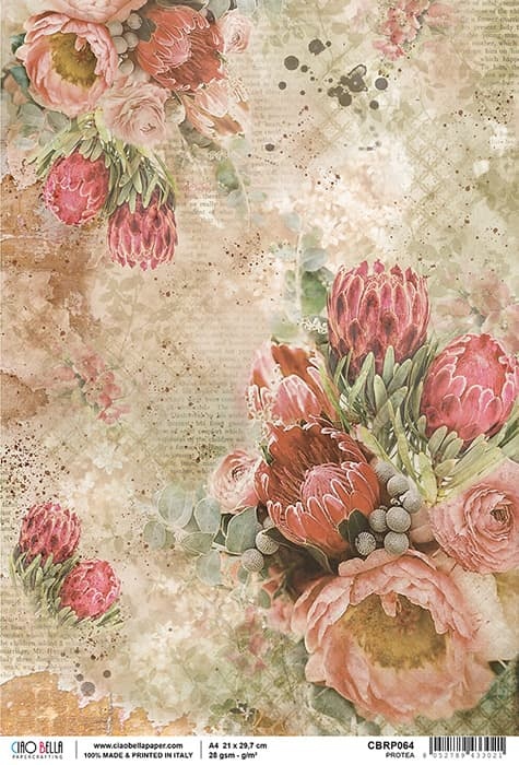 Ciao Bella Ciao Bella rice paper a4  Protea CBRP064