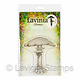 Lavinia Forest Cap Toadstool  LAV736