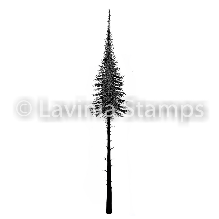 Lavinia Fairy Fir Tree (small) LAV489s
