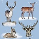 CraftEmotions CraftEmotions clearstamps A6 - Dieren uit het bos GB