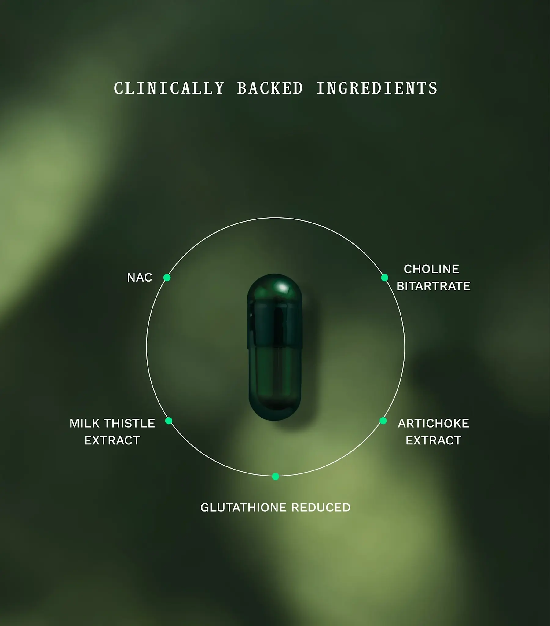 Insentials 02 Detox Boost