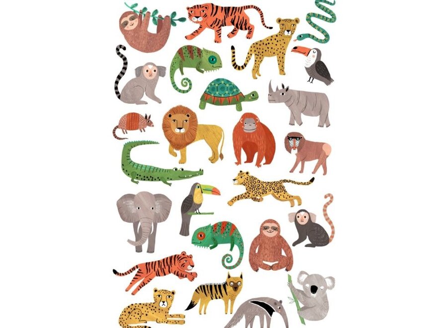 Petit Monkey Tattoos Jungle Animals