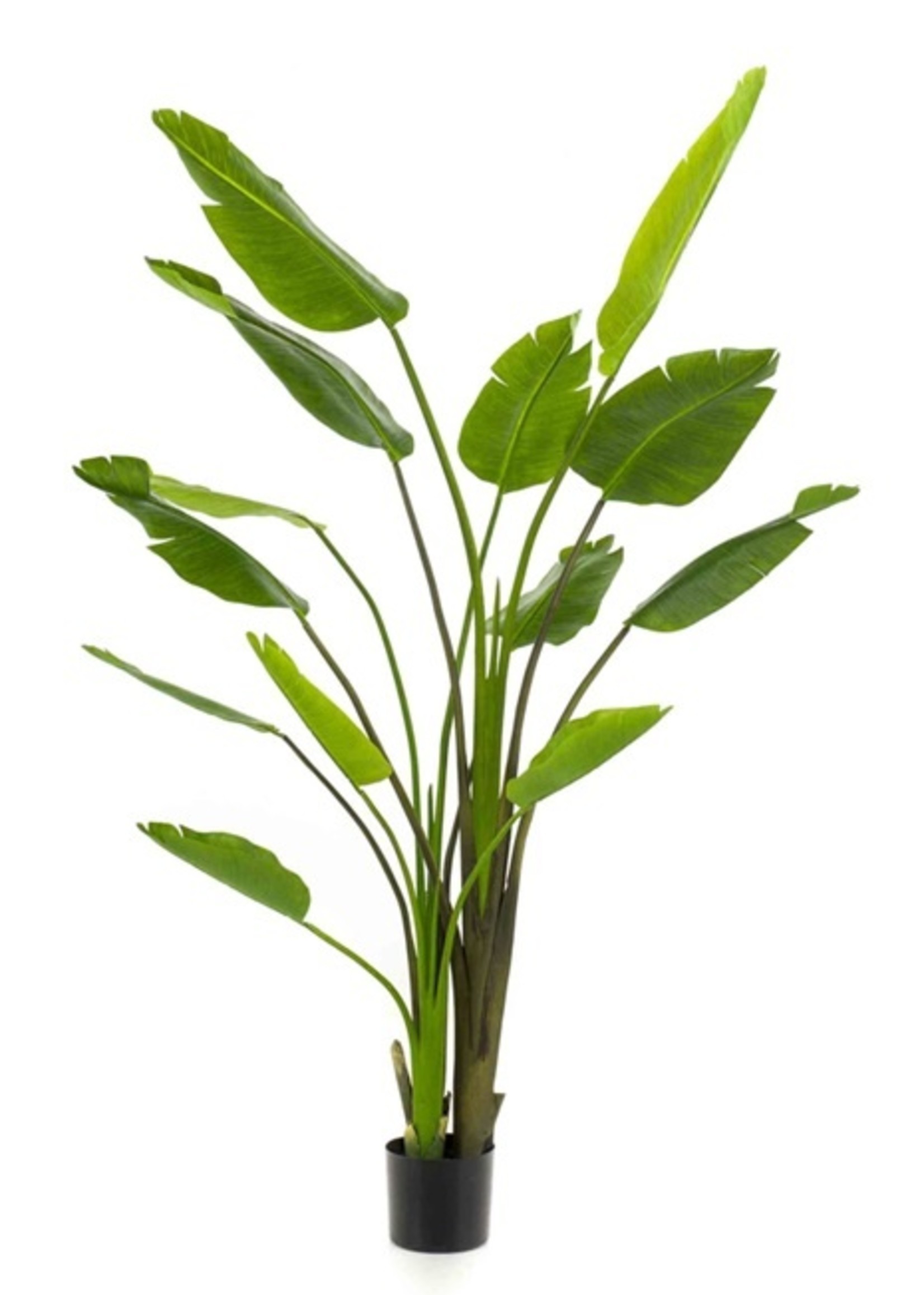 Emerald Green Strelizia kunstplant met 3 bloemen  120 cm