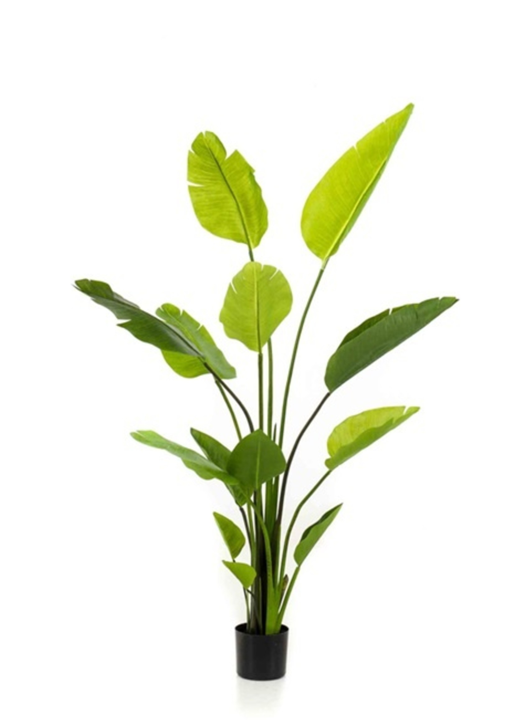 Emerald Green Strelizia kunstplant met 3 bloemen  120 cm