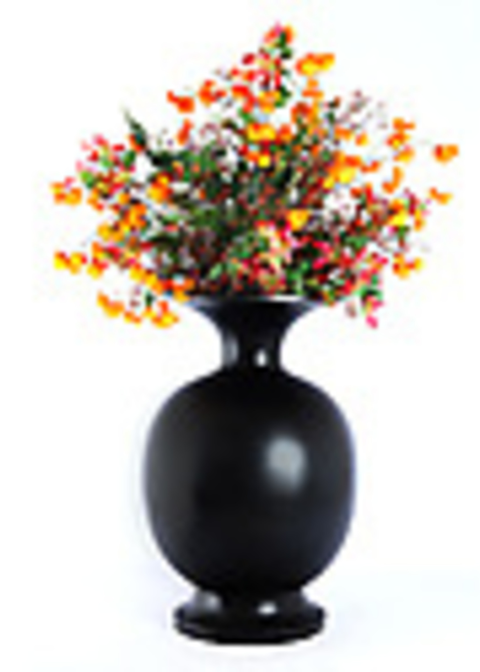 Pot & Vaas Vaas Belly, zwart     H 64 cm