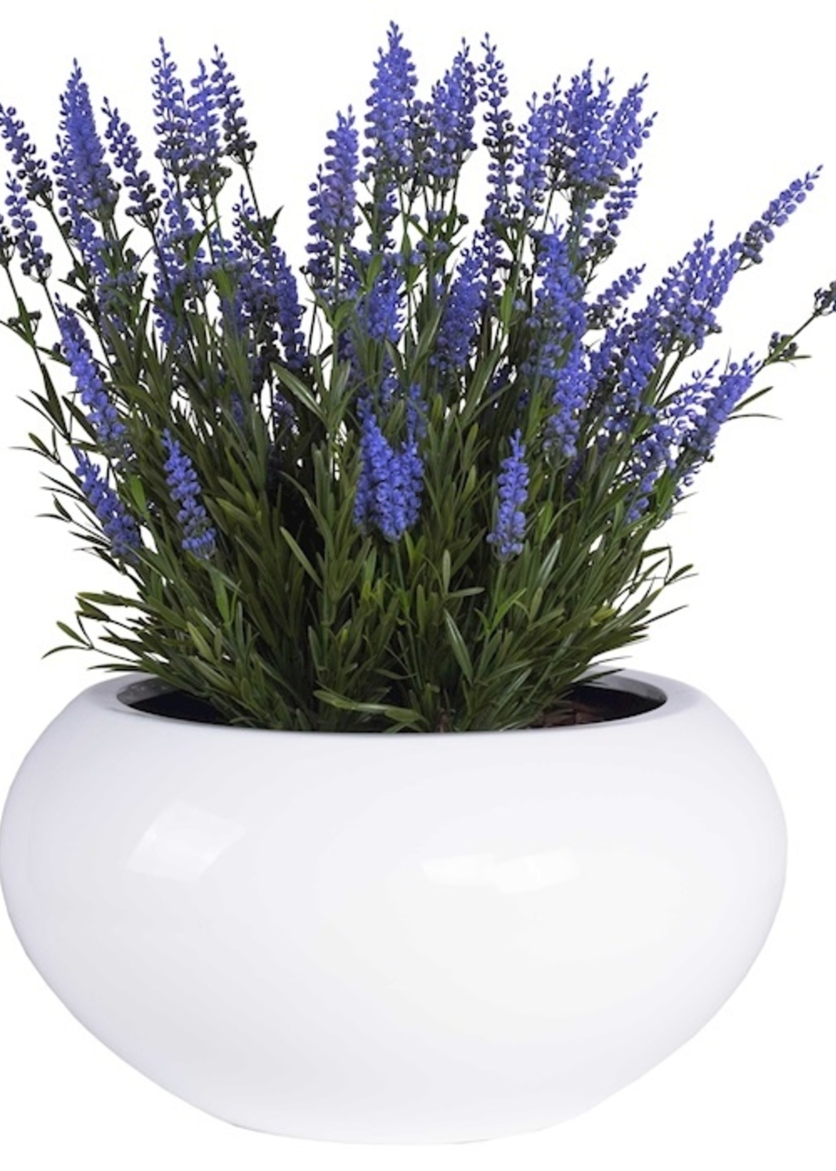 Vase of the world San Francisco  Shiny White pot