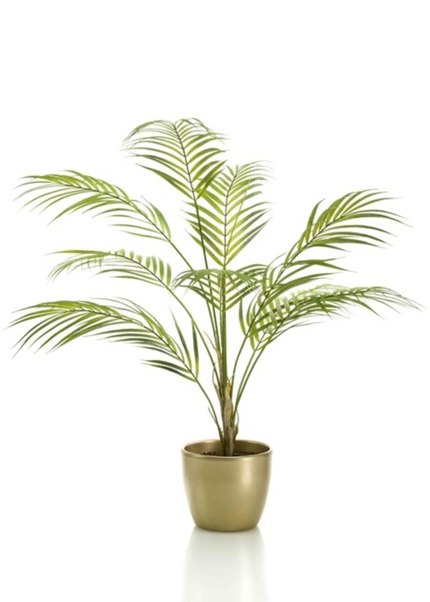 Emerald Green Palm Chamaedorea  in Goudkleurige pot