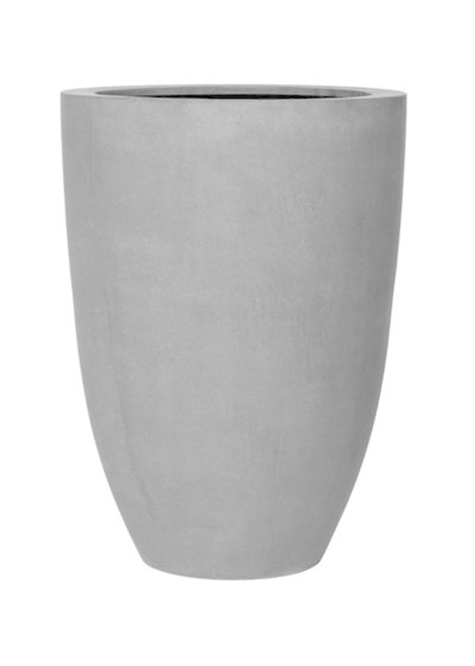 Vase of the world Anthurium Jungle KING 100 cm