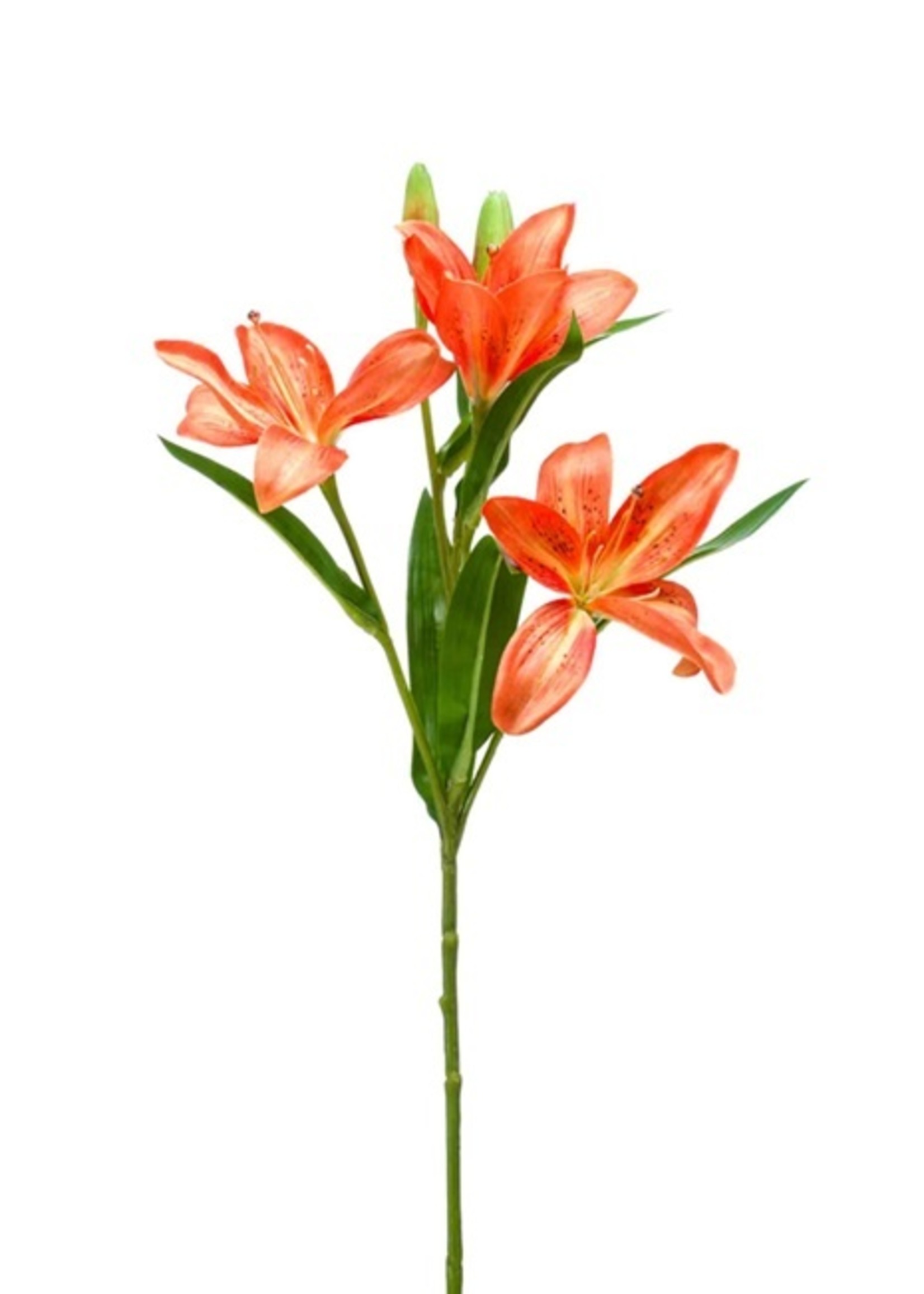 Emerald Green Lily spray Zijdebloem Orange 60 cm