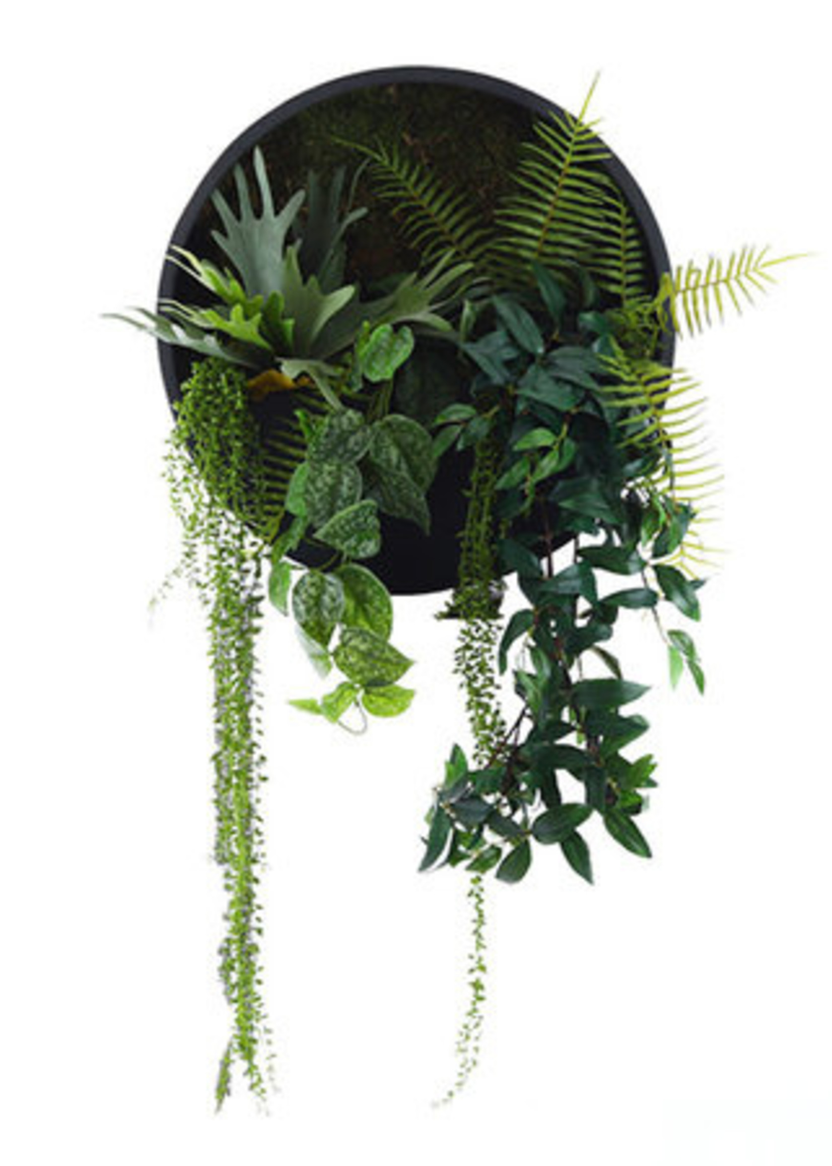 Pot & Vaas Wand pot incl. beplanting     Ø 40  cm 