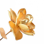 Goudkleurige Bloemen en  takken 