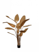 Silk-ka Goudkleurige Strelitzia 182 cm
