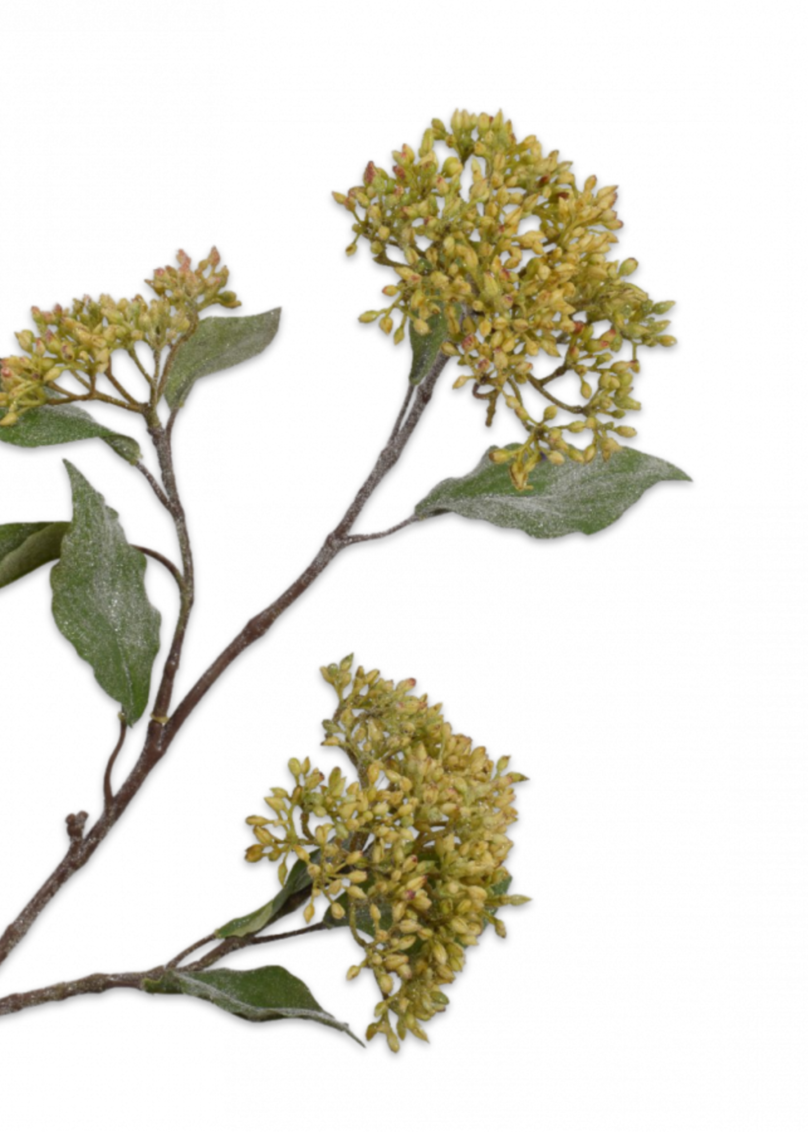Silk-ka Skimmia tak Groen 71 cm