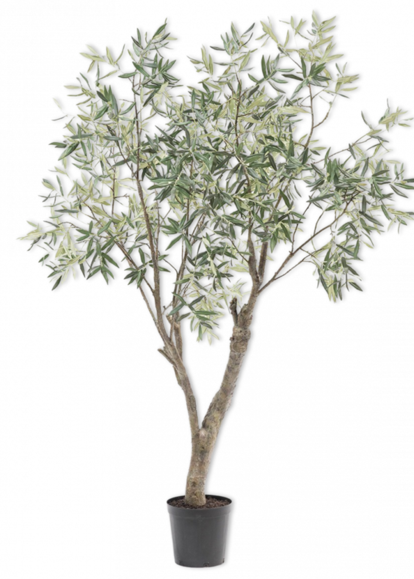 Kunst Olijfboom 198 cm