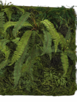 Silk-ka Mos Plag met varens 100 x 100cm