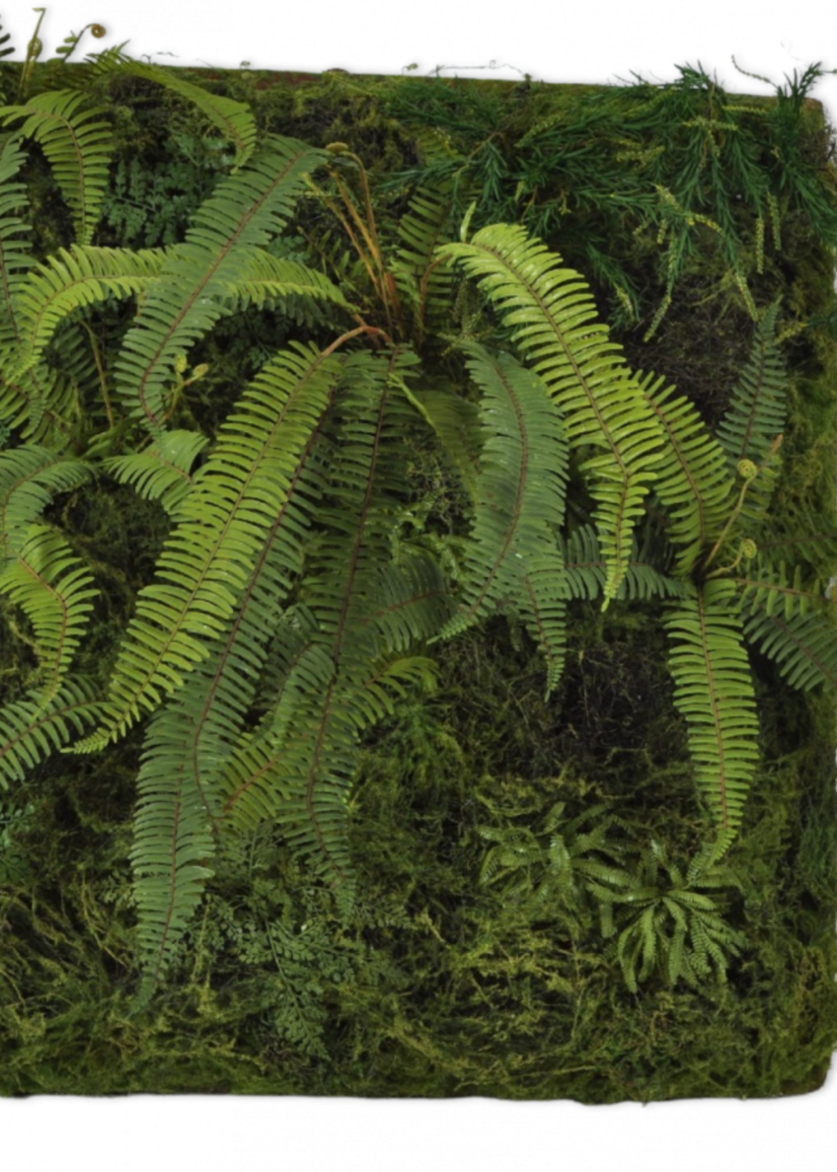 Silk-ka  Mos Plag met varens100 cm