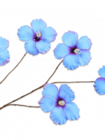Silk-ka Hibiscus Tak  Blauw   112 cm