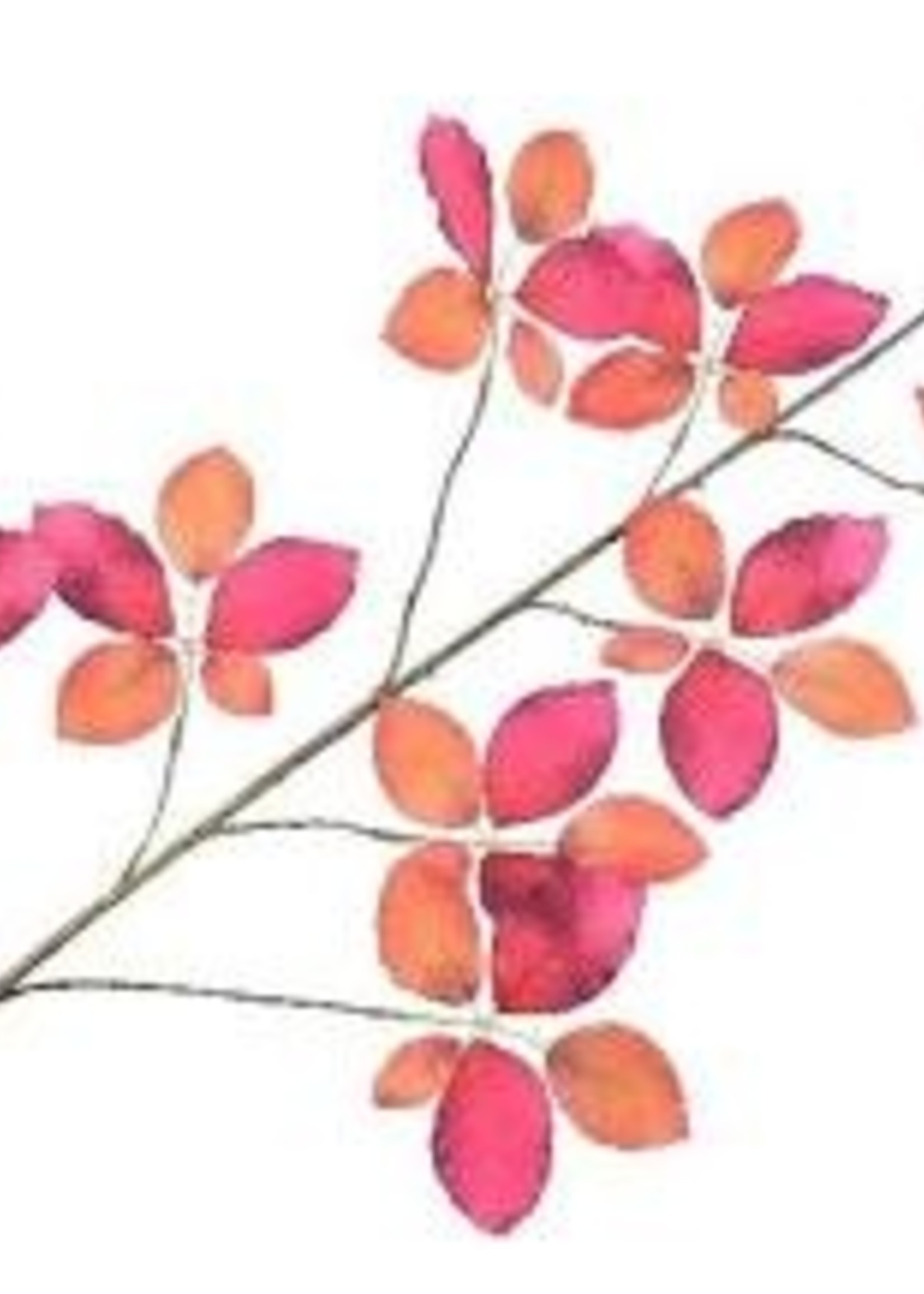 Silk-ka Bladtak Oranje/Roze  114 cm