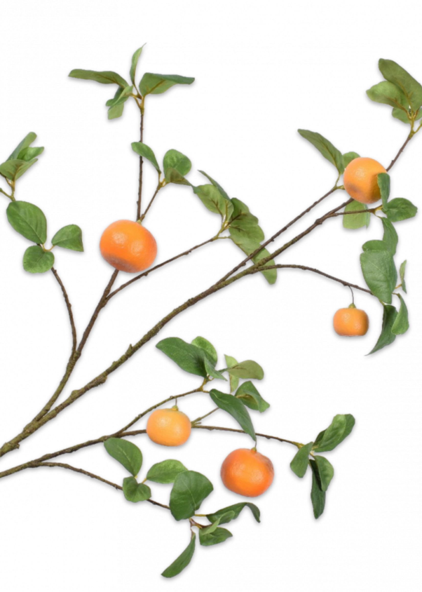 Silk-ka Sinaasappel Tak   127 cm