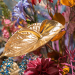 Herfst- &   Wintercollectie  2026