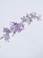 Silk-ka Delphinium Tak Mauve  79 cm